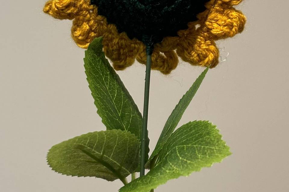 Sunflower back