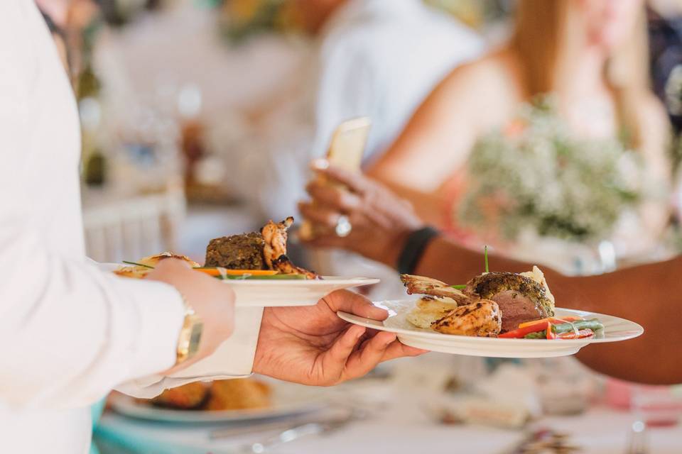 Plated Food