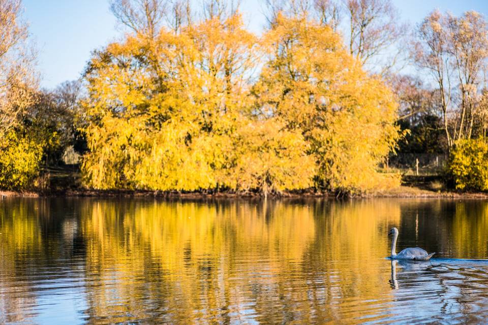 Water reflections