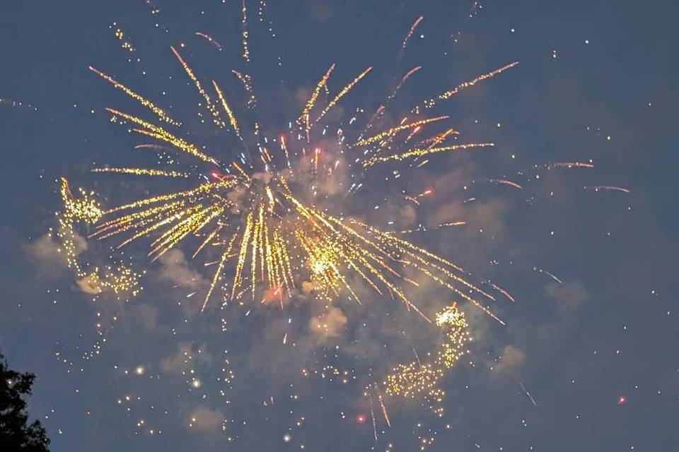A sky full of stars