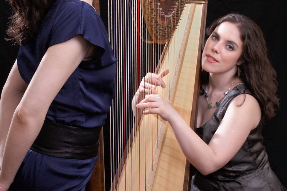 One of our many duos - harp and voice