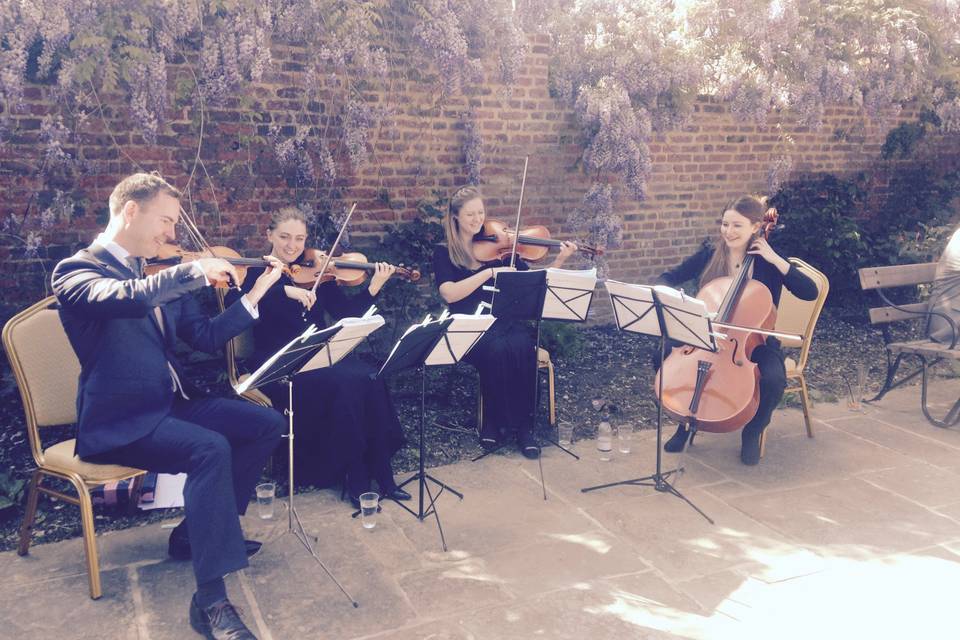 String quartet outdoor wedding