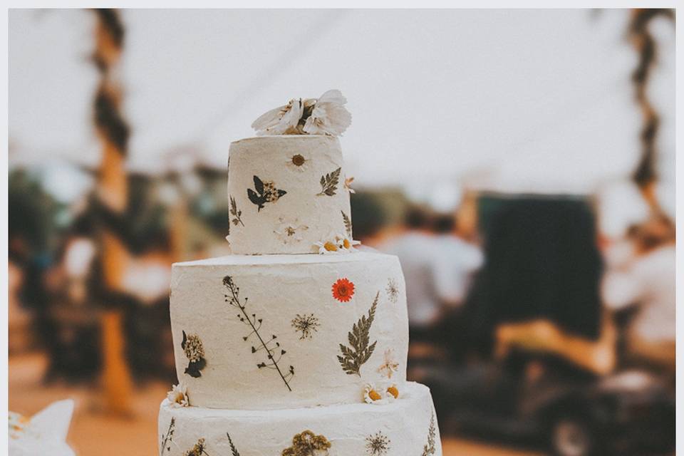 Norwich wedding photographer