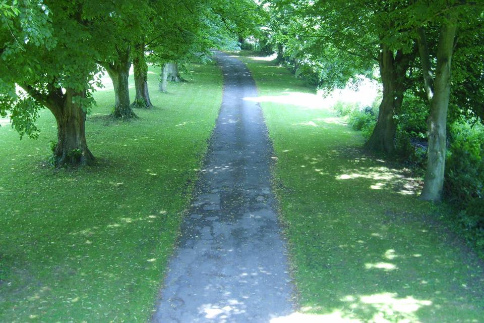 Tree lined avenue leading to Saltcote Place