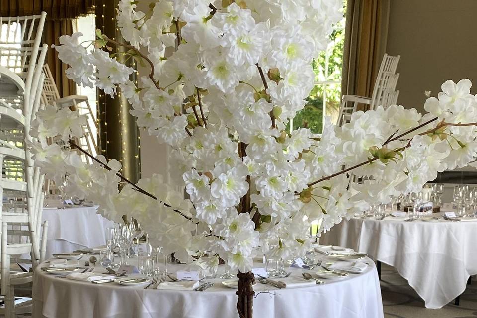 Blossom trees