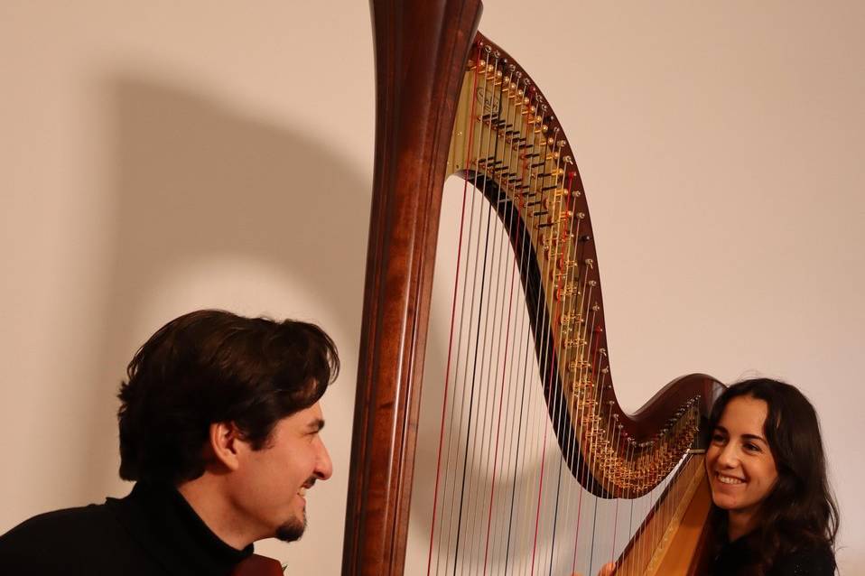 Harp & Violin Duo