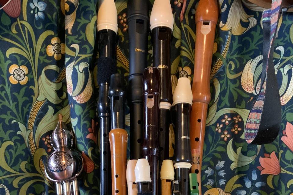 A selection of pipes, whistles