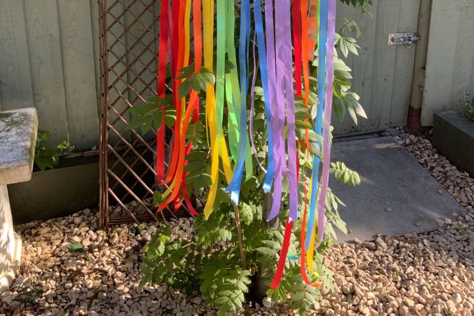 RAINBOW RIBBONS