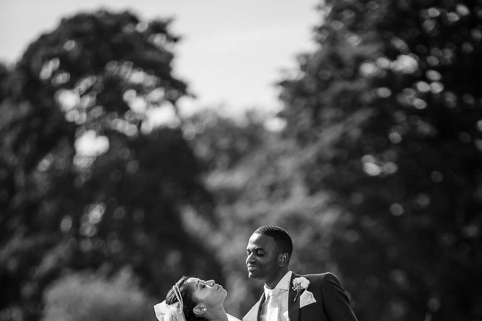 Wedding Photo