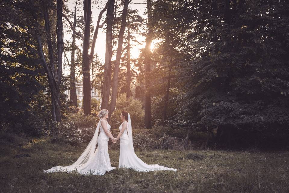 Holding hands in the woods