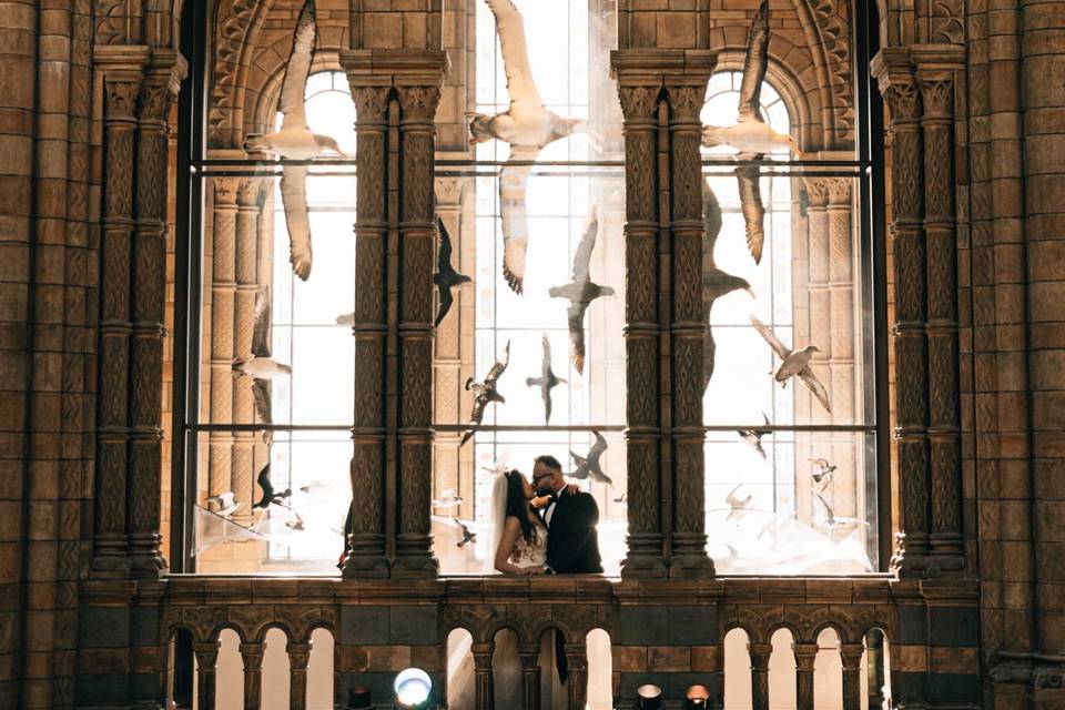 National History Museum