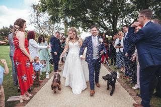 Woofs and Weddings