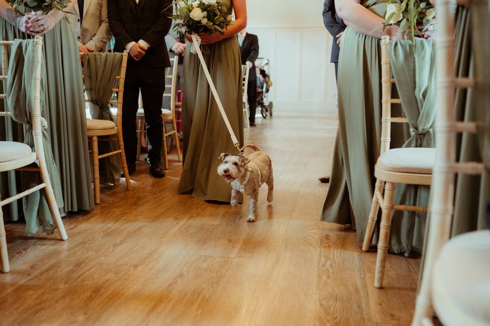 Aisle walk