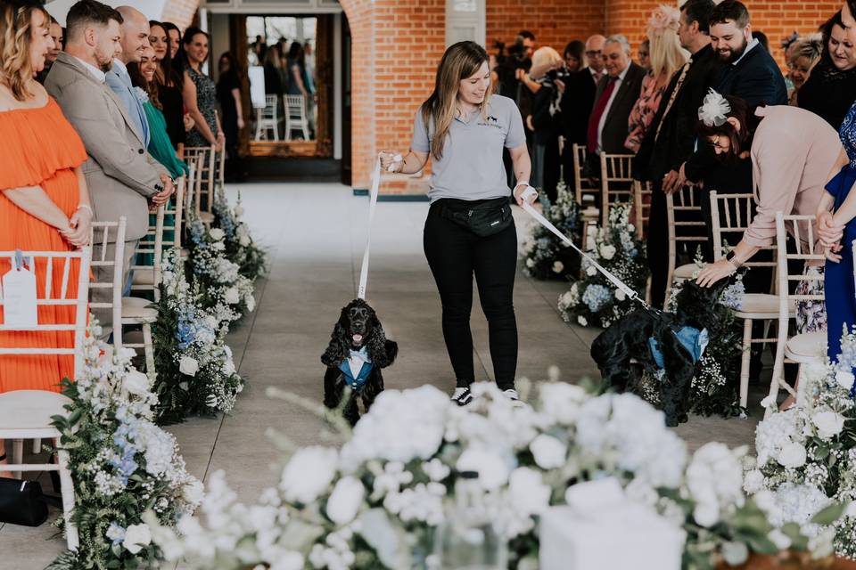 Aisle walk