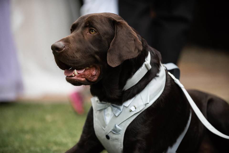 Handsome boy