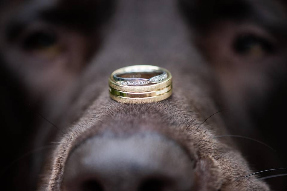 Ring on nose