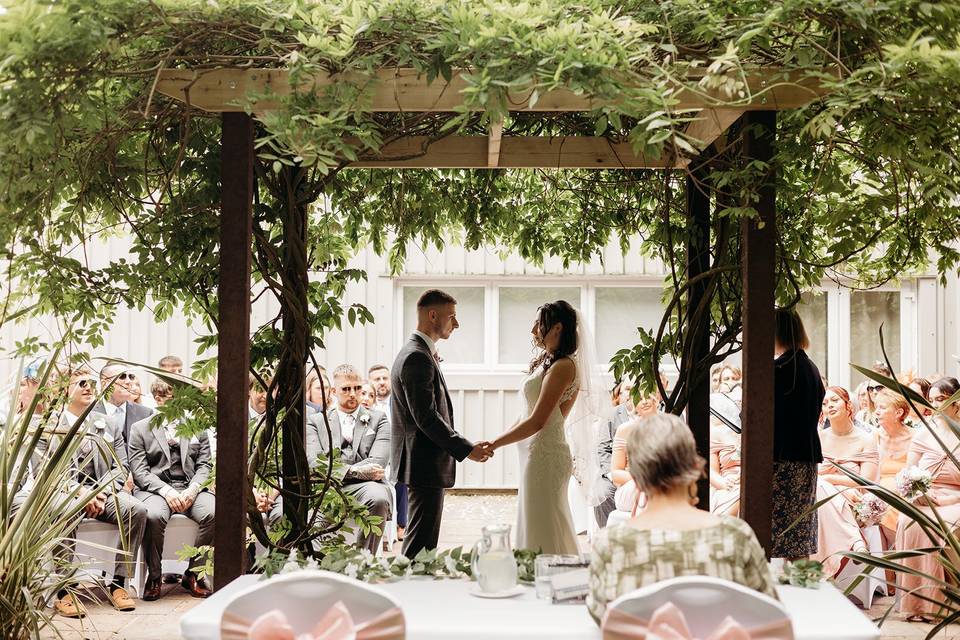 Under the wisteria