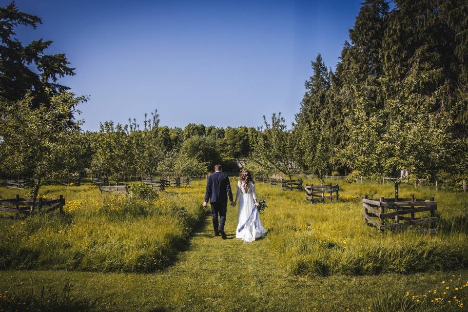 A stroll through the orchard