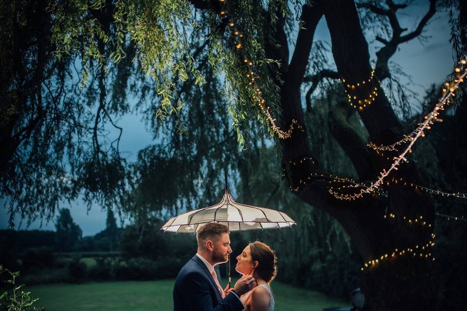 Under the Willow trees