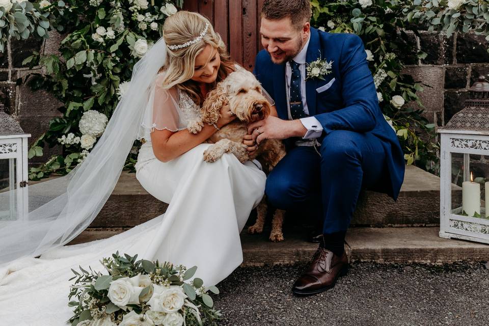 Weddings with Dogs