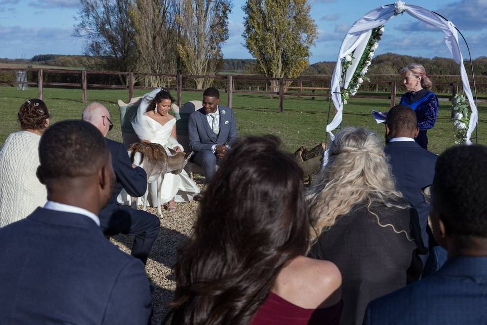 Deer interrupting ceremony