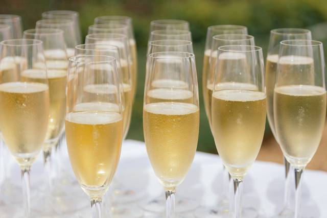 Champagne reception