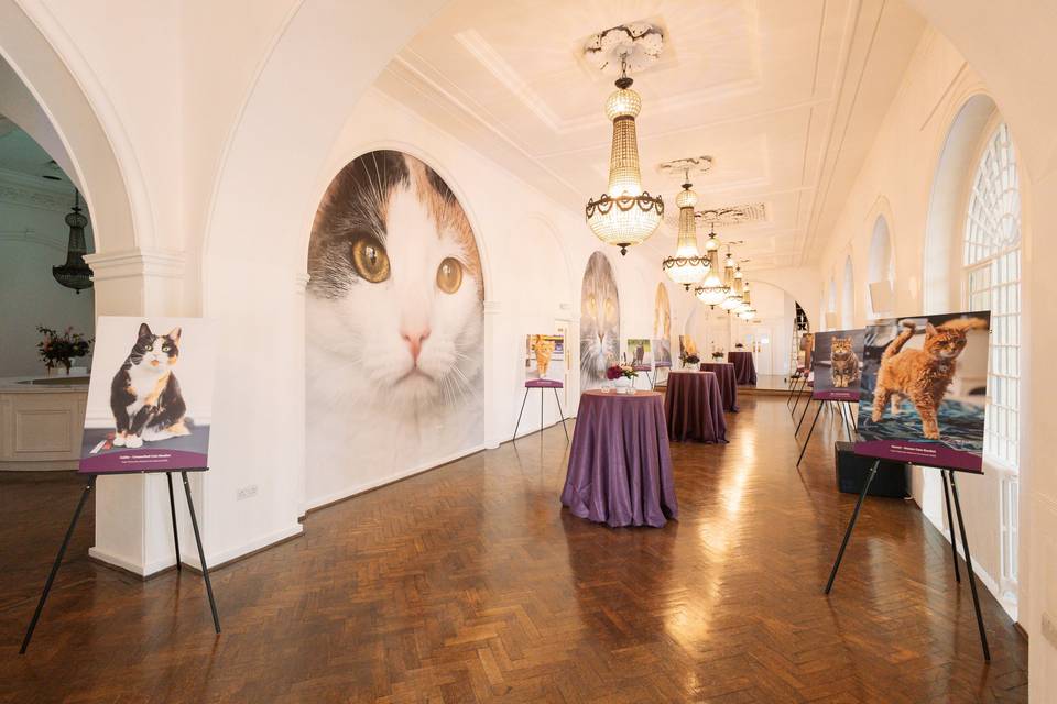 The Galleries