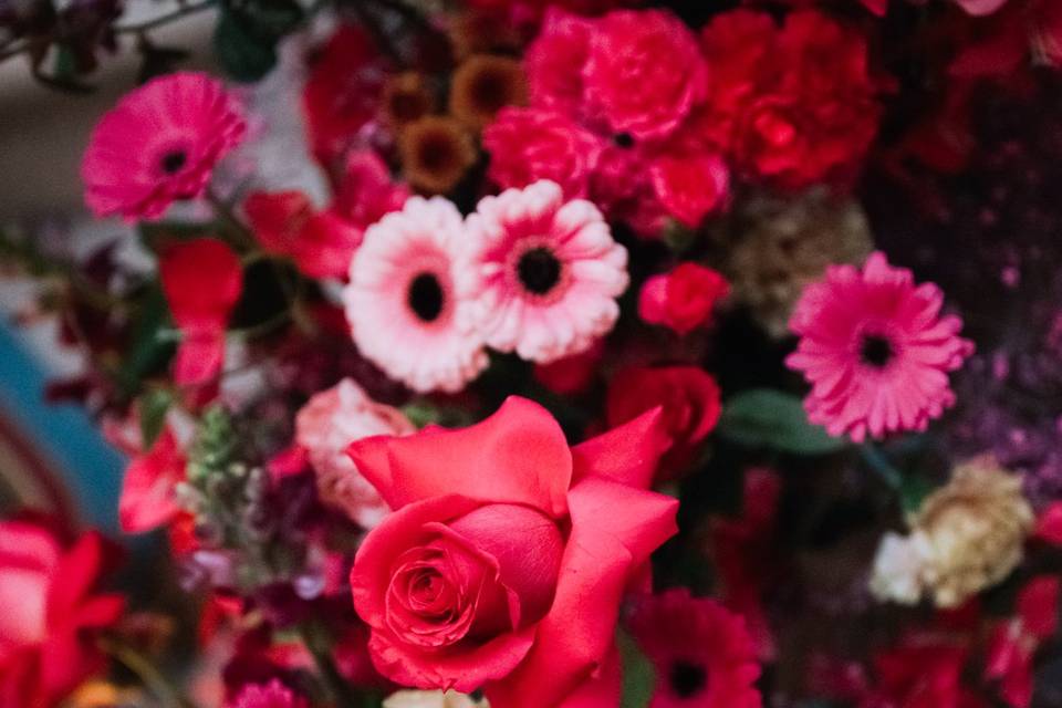 Pink Florals
