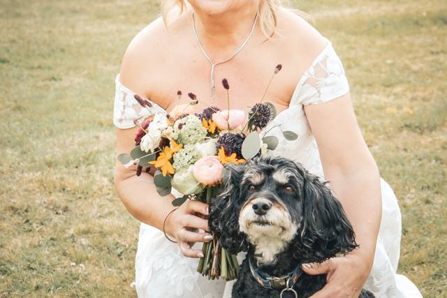 Bride and Dog