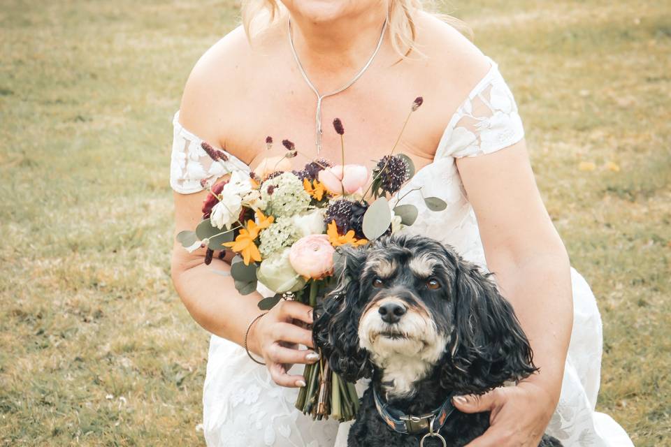 Bride and Dog