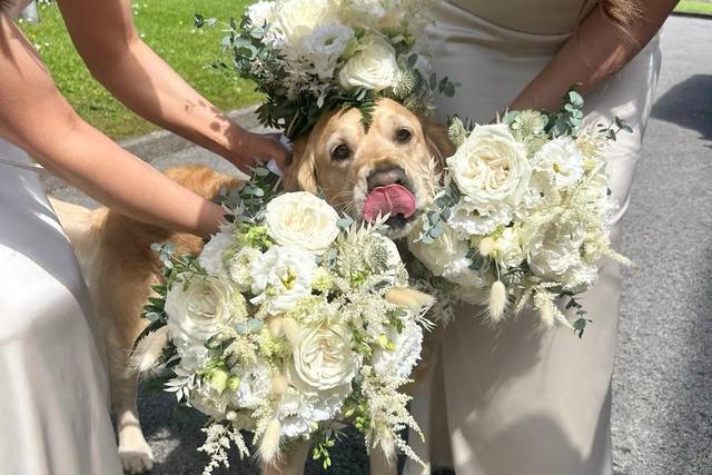 Sherry & Paws