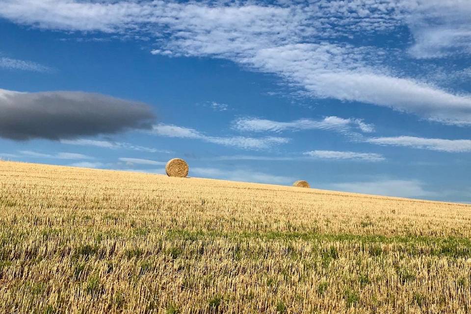 Riding Farm