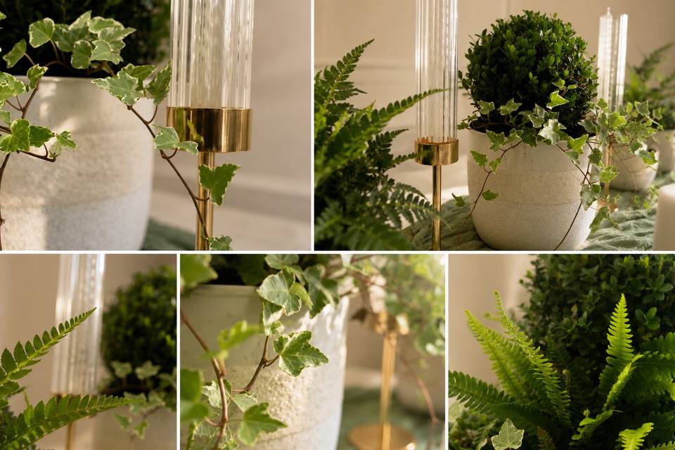 Table Decor