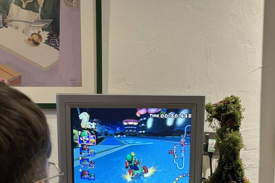 Mario Kart Gamecube!