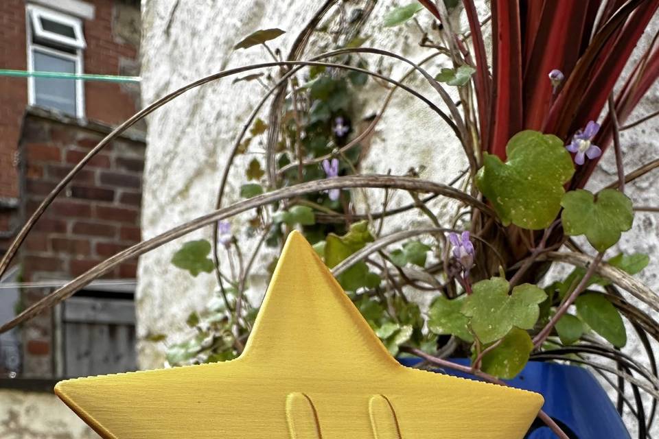 Mario Kart Star Cup!