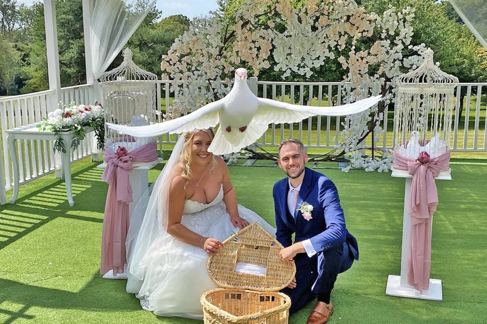 Beautiful Weddings at Ridgeway