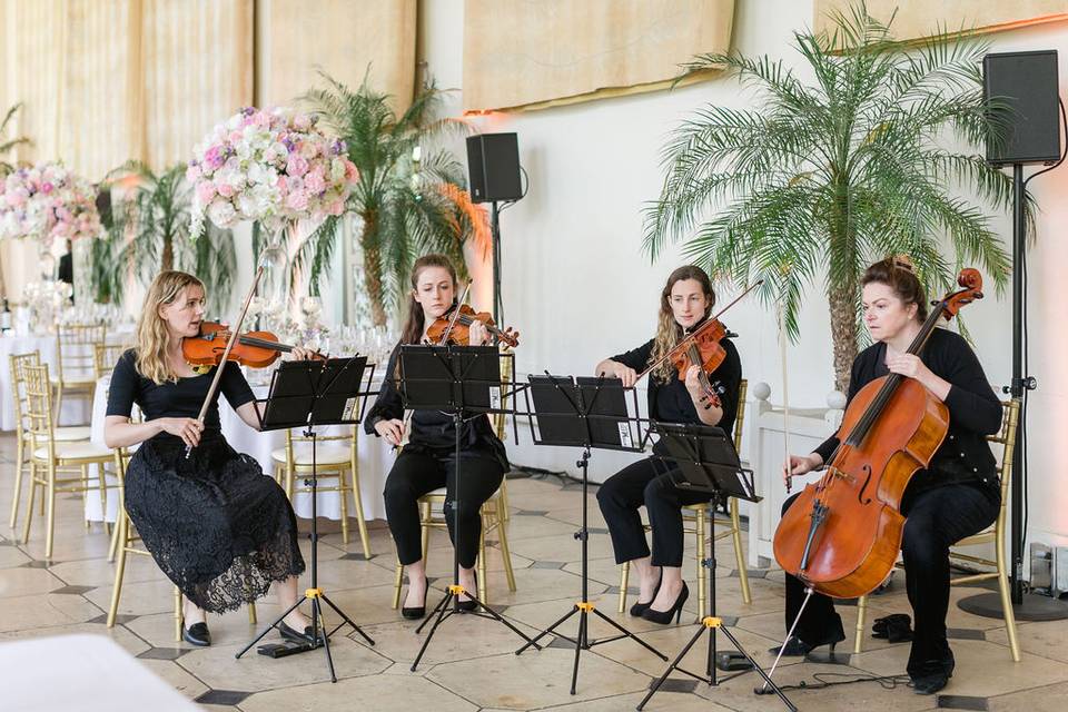 String Quartet