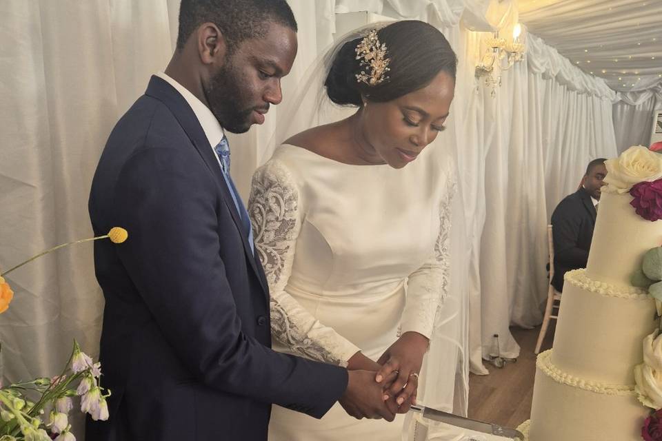 Nnamdi & Uloma's wedding