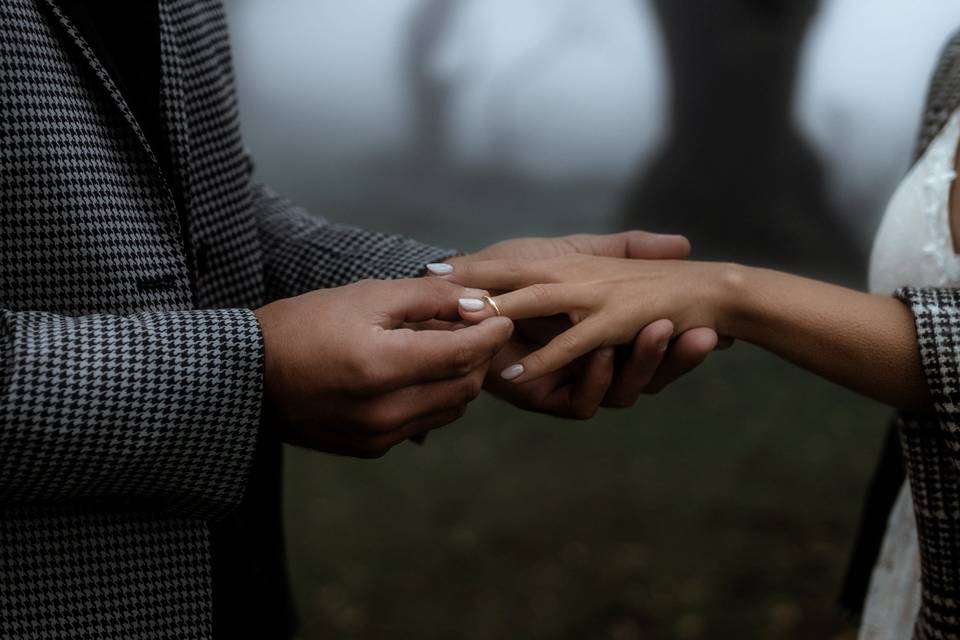 Exchanging Rings in the Forest