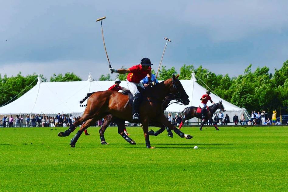 Guests playing polo