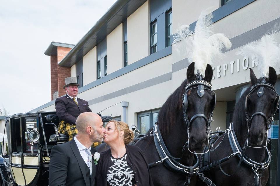 Gretna horses