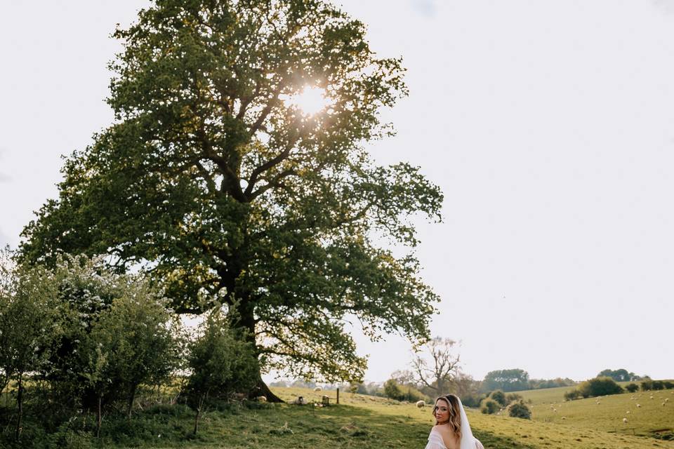 Gorgeous backdrops