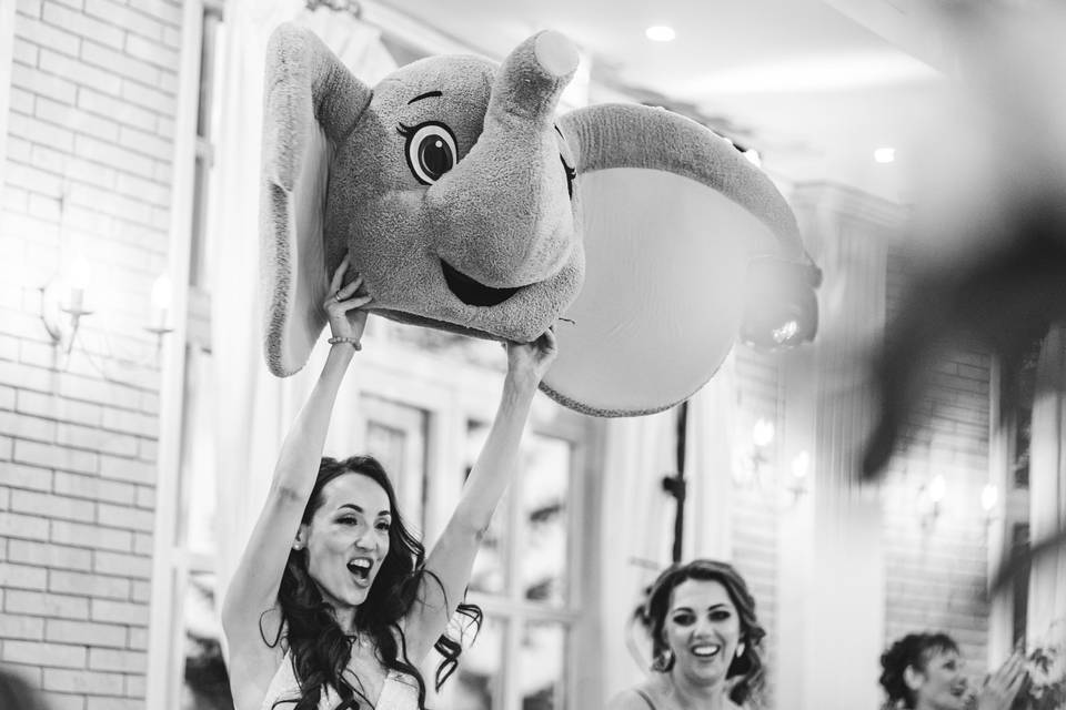 Who got the elephant head