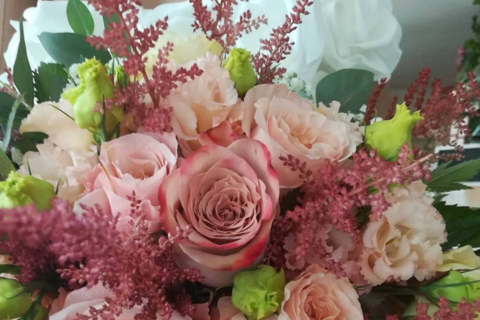Les Fleurs di Bellucci Gabriella