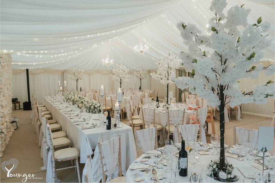 Marquee wedding