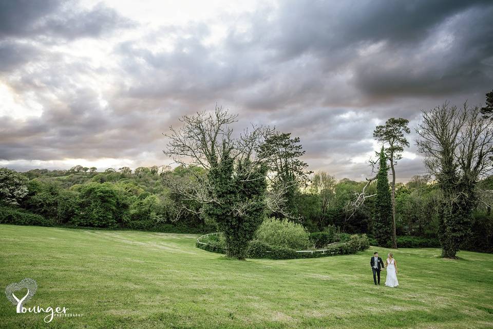 What a beautiful shot