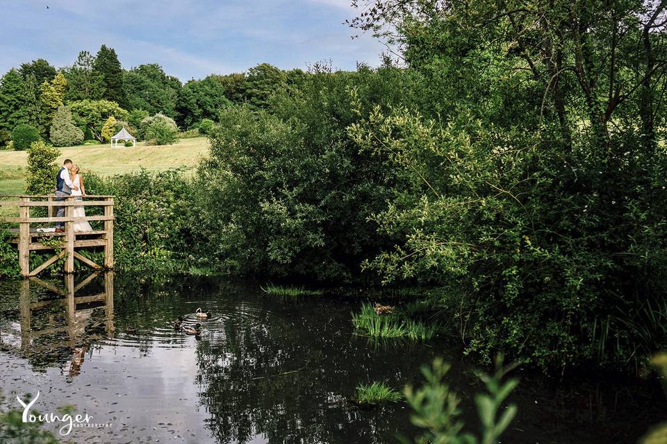 Beautiful picture sneaky ducks