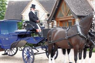 Pair of horse and blue carriage