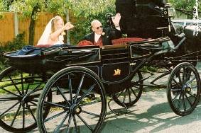 Unique wedding transportation
