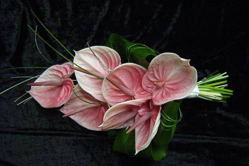 Kendalls Florist